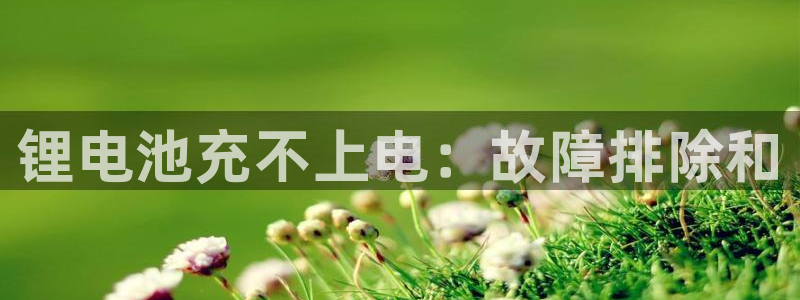尊龙凯时下载官方正版：锂电池充不上电：故障排除和