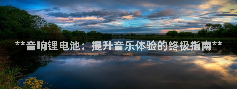 尊龙z6官网：**音响锂电池：提升音乐体验的终极指南**