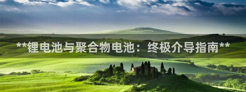 ag旗舰平台尊龙代言：**锂电池与聚合物电池：终极介导指南**