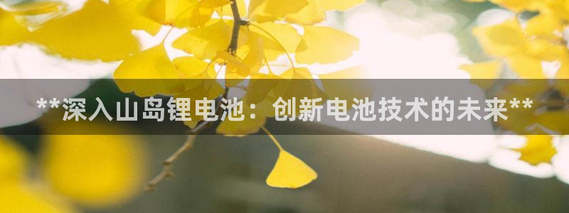 尊龙人生就是博登录：**深入山岛锂电池：创新电池技术的未来**
