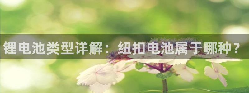 尊龙凯时网娱乐最新版下载：锂电池类型详解：纽扣电池属于哪种？