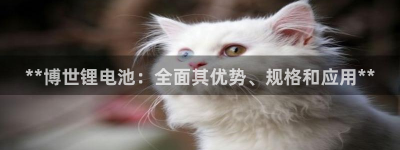 尊龙t600：**博世锂电池：全面其优势、规格和应用**