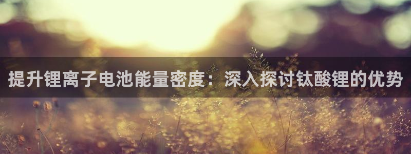 尊龙网址苹果版下载：提升锂离子电池能量密度：深入探讨钛酸锂的优势