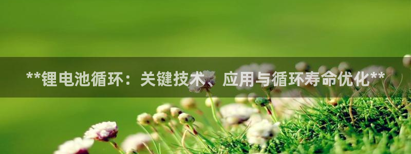 KB88凯时官网：**锂电池循环：关键技术、应用与循环寿命优化**