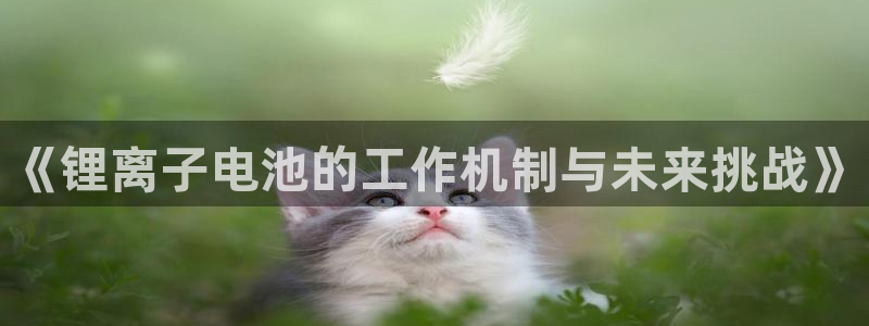 尊龙手机官方客户端下载安卓