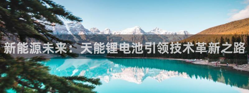 尊龙内地