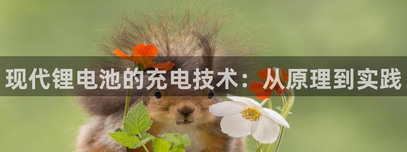尊龙凯时麻将胡了