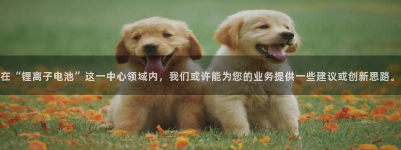 尊龙凯时官方网站