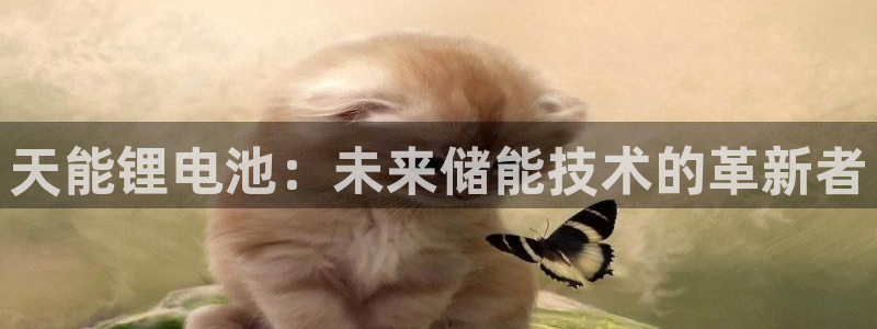 尊龙人生就是博d88 - Z6尊龙官方网站