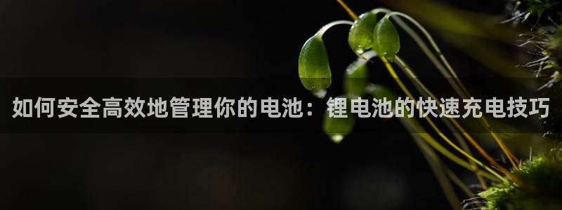 尊龙人品怎么样