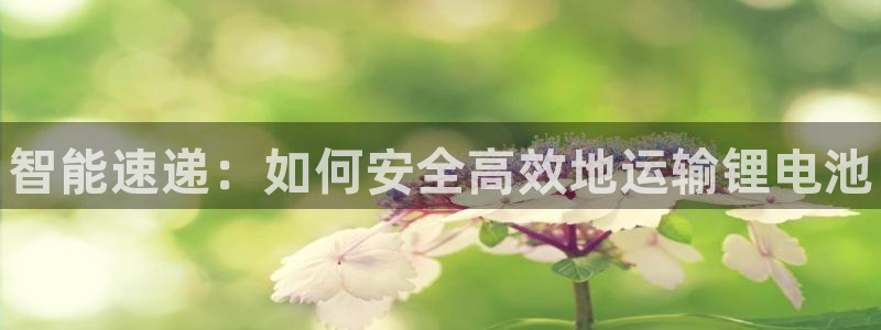 z6尊龙凯时旗