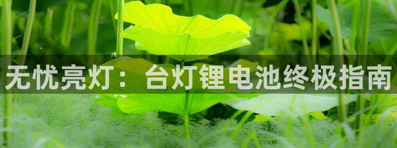 ag旗舰平台尊龙代言：无忧亮灯：台灯锂电池终极指南