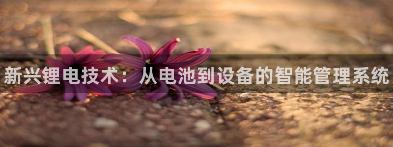 尊龙官网下载