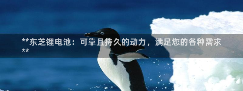 尊龙手机客户端下载APP：**东芝锂电池：可靠且持久的动力，满足您的各种需求
**