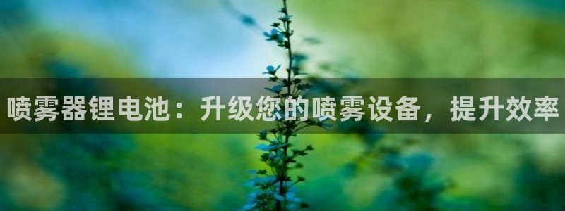尊龙人生就是博菲律宾台子：喷雾器锂电池：升级您的喷雾设备，提升效率