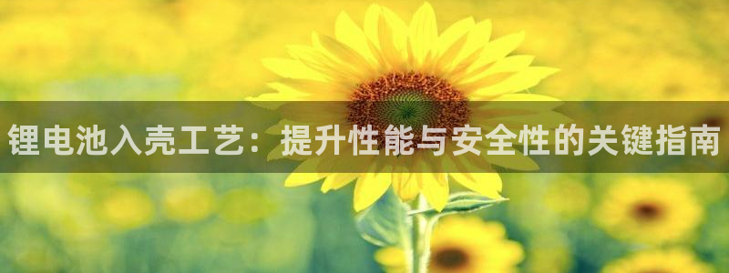 尊龙凯时充十万返现多少：锂电池入壳工艺：提升性能与安全性的关键指南