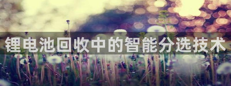 尊龙体育正规么