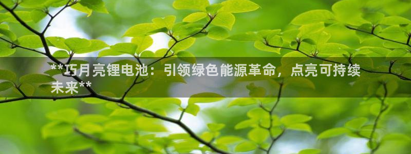 KB88凯时官网：**巧月亮锂电池：引领绿色能源革命，点亮可持续
未来**