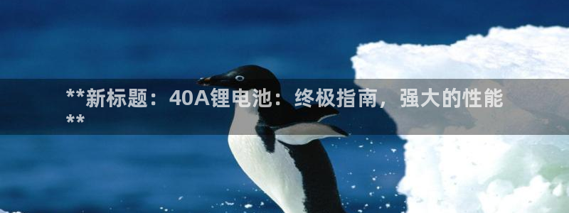 怎样能成为尊龙凯时平台的会员：**新标题：40A锂电池：终极指南，强大的性能
**