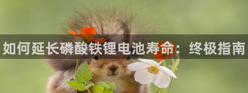 尊龙d88官网QU来就送38：如何延长磷酸铁锂电池寿命：终极指南