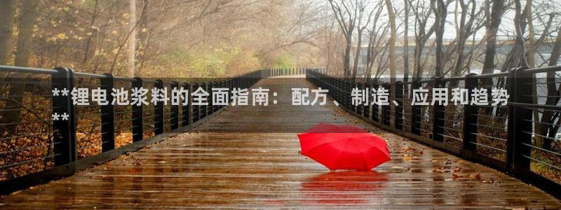 尊龙新版app首页：**锂电池浆料的全面指南：配方、制造、应用和趋势
**