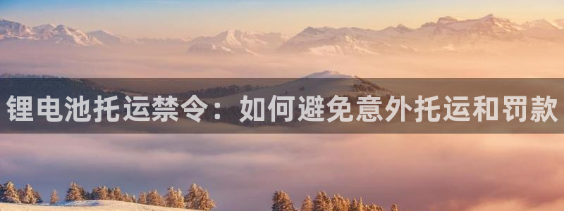 尊龙网址是选访问zd207：锂电池托运禁令：如何避免意外托运和罚款