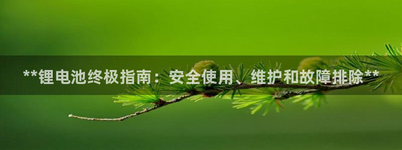 尊龙凯时代理能提出来不：**锂电池终极指南：安全使用、维护和故障排除**