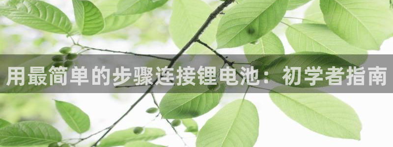 尊龙尊龙：用最简单的步骤连接锂电池：初学者指南