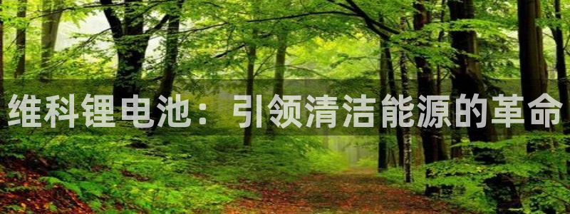 尊龙官方平台：维科锂电池：引领清洁能源的