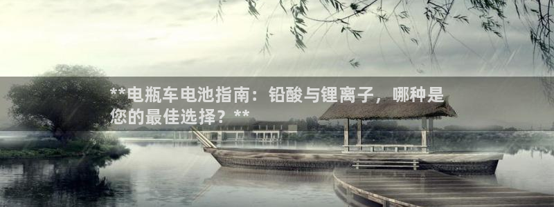 尊龙ag旗舰厅登陆：**电瓶车电池指南：铅酸与锂离子，哪种是
您的最佳选择？**