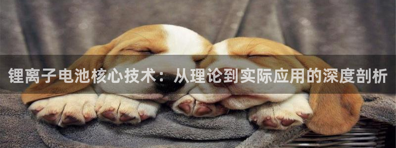 尊龙人生就是搏