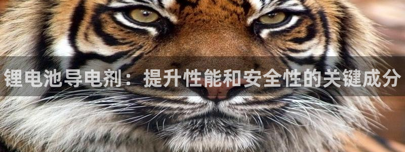 凯时官网app下载官方网站