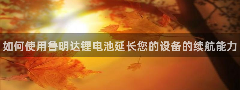 尊龙手机客户端app：如何使用鲁明达锂电池延长您的设备的续航能力