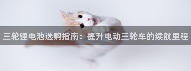 尊龙凯时-人生就是博中国官网：三轮锂电池选购指南：提升电动三轮车的续航里程
