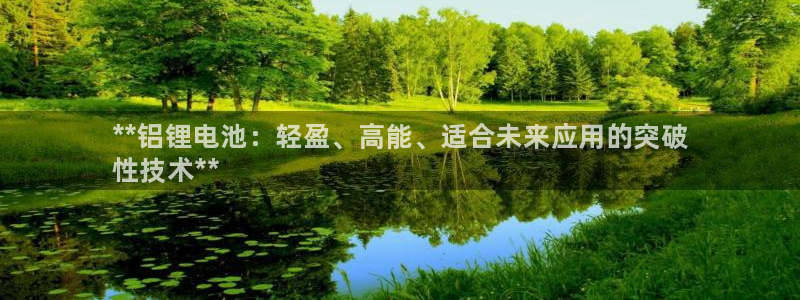 尊龙下载推荐网站：**铝锂电池：轻盈、高能、适合未来应用的突破
性技术**