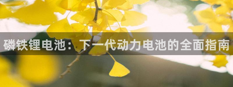 尊龙人生就是博d88 - Z6尊龙官方网站：磷铁锂电池：下一代动力电池的全面指南