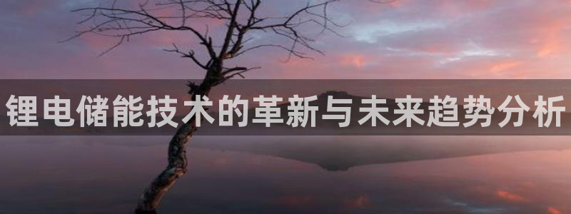 凯时国际网站域名