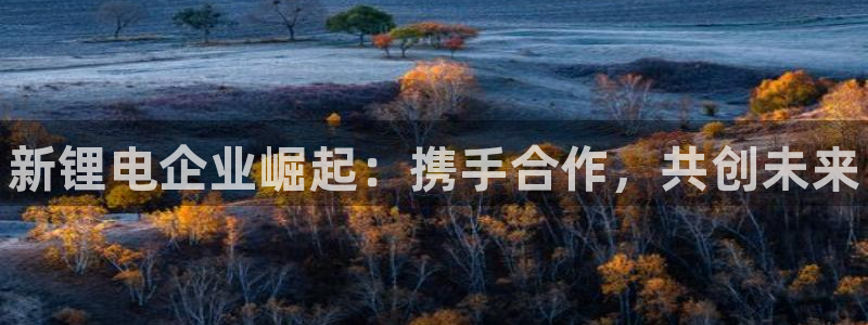 凯时k66会员登录