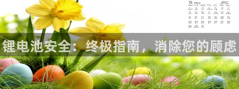 尊龙凯时几百万怎么下款：锂电池安全：终极