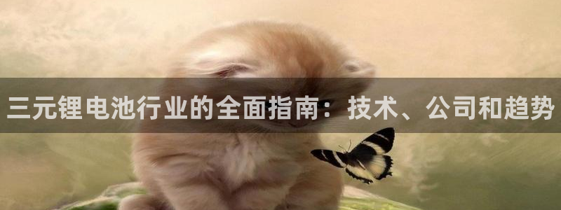 Ag尊龙平台：三元锂电池行业的全面指南：技术、公司和趋势