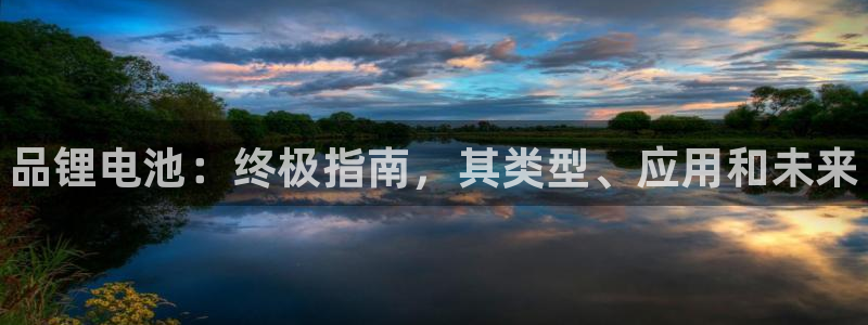 尊龙人生就是博登录网址下载：品锂电池：终极指南，其类型、应用和未来