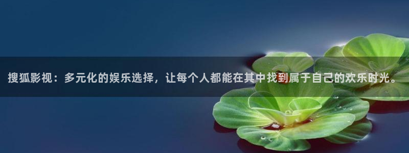 噜噜影院：搜狐影视：多元化的娱乐选择，让每个人都能在其中找到属于自己的欢乐时光。