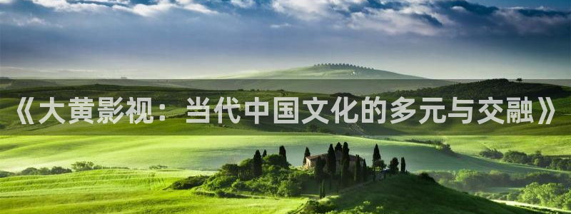 噜噜噜噜私人影院在线观看：《大黄影视：当代中国文化的多元与交融》